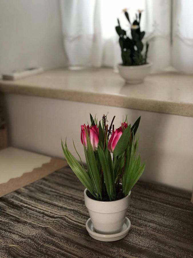Apartment Center Roko 스플리트 외부 사진